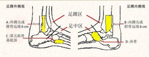 足踝外科介绍